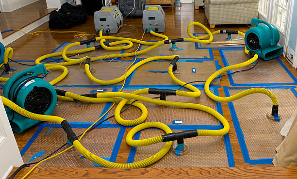 Professional Basement Flood Cleanup technician working in Central, UT